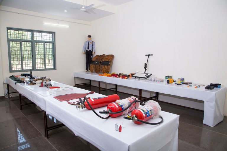 Professional Security Services
