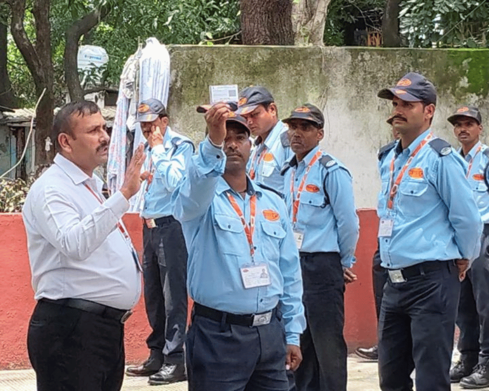 Professional Security Services