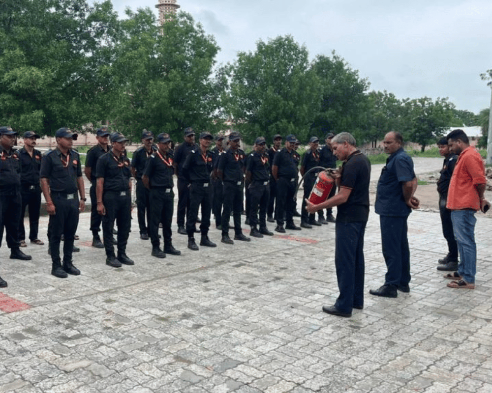 Professional Security Services